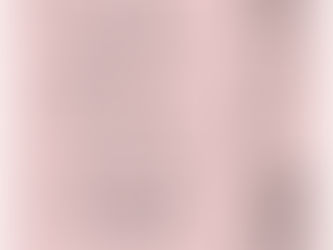 第8回野のはな書展（2002年4月3～7日）