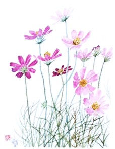 美しい言葉と表現と　春野何所依（海客）