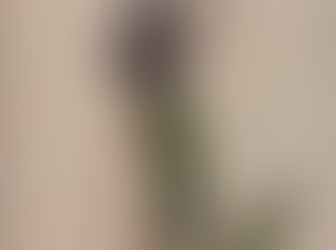 「ははこぐさ　24」（すみれ）