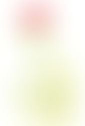 ただの言葉と書の言葉