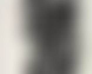 「生命の樹２」(「日本国憲法前文より）