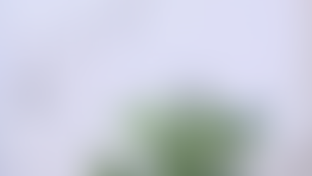 「ははこぐさ　14」（わすれなぐさ）作品143