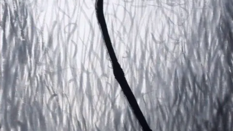 「汝はそれなり」16