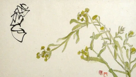 「ははこぐさ・81」（母子草）