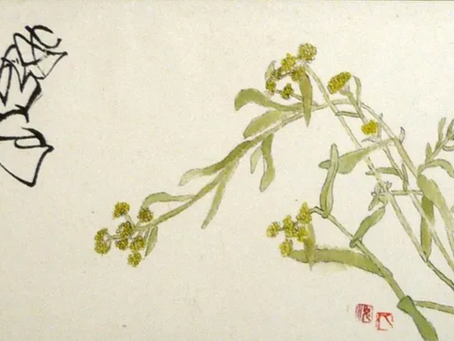 「ははこぐさ・81」（母子草）