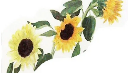 春野かそい書展　図録裏表紙