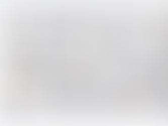 2017年書き初め大会感想