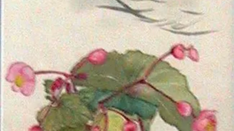 「ははこぐさ　28」