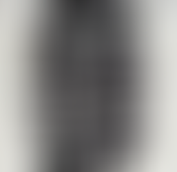 「生命の樹3」(「日本国憲法第9条第1項より)