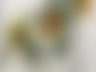 「ははこぐさ49」（ひまわり）