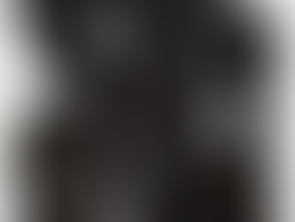 「カクワハイ29」(悲)