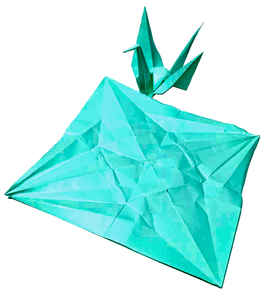The hidden structure of the 3D form is revealed on the surface of the paper