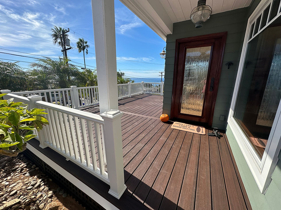 deck palm trees