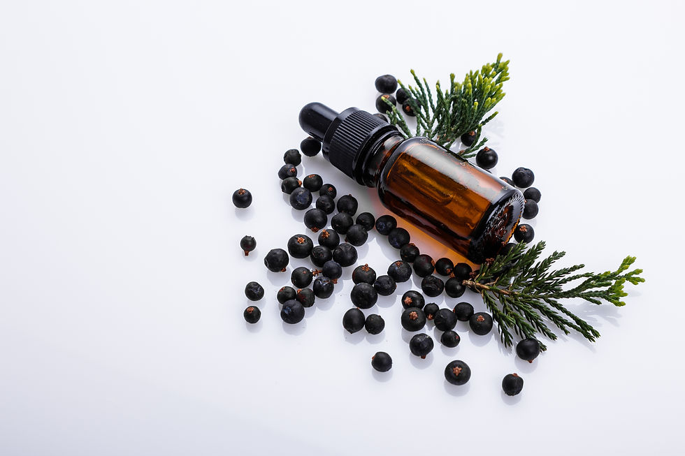 About Juniper Berry (Juniperus communis)