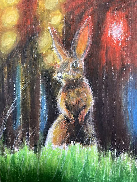 rabbit2.jpg