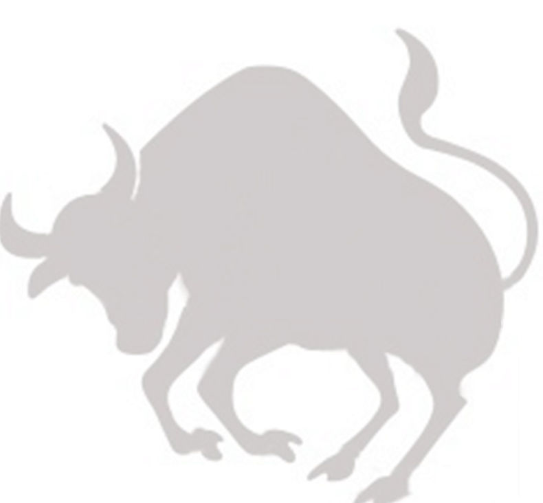 buffalo-3.jpg