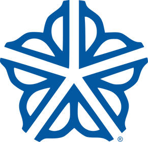 roccitylogo.png