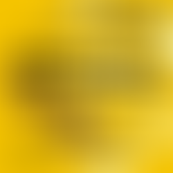 Media Collaboratory Call for Workshop Submissions