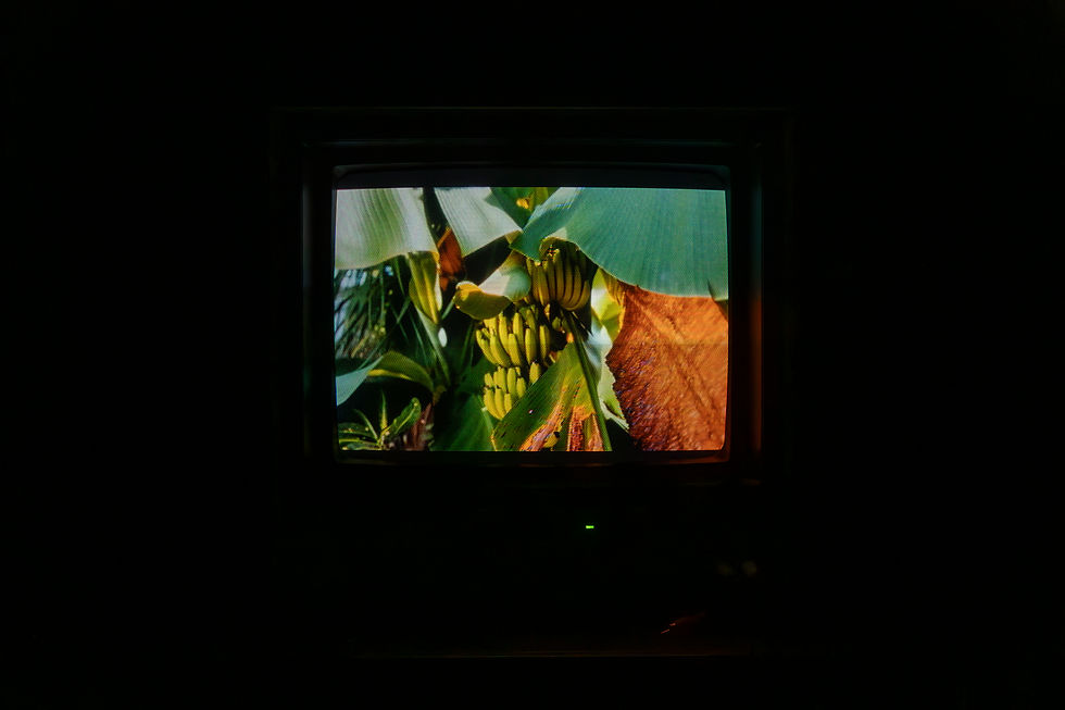 Racquel Rowe. The Centre of the World Was the Beach, Forest City Gallery. Installation shot by Teresa Rangel. 2025.