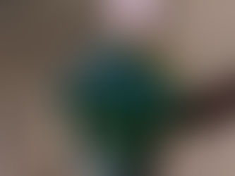 Creative Writing Workshop