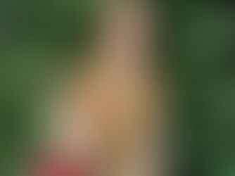 Statement of Staffing Transition