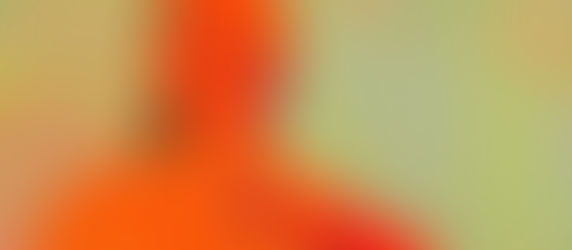 Annual Juried Exhibition 19: FCG Feature Award Winner