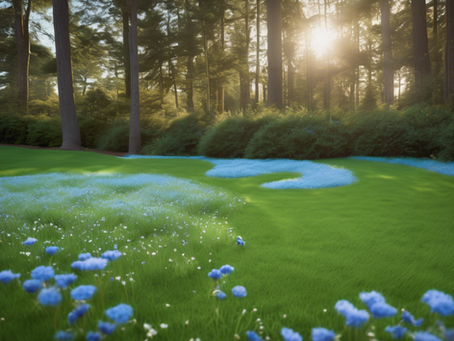 Enhance Your Outdoor Space with Recovery Lawn Enforcement