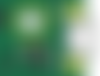 MicroPhyton e IDE Thonny