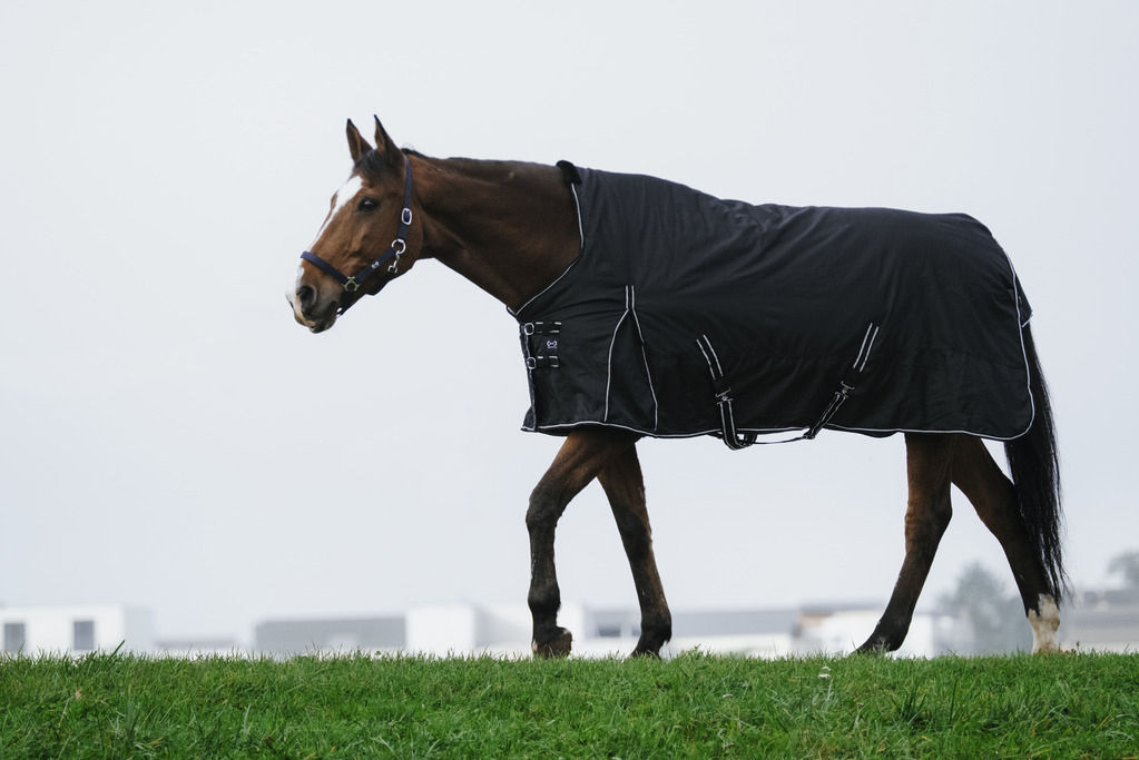 Riding World, "Oxford" utetäcke med halvhals, 300D - 0g