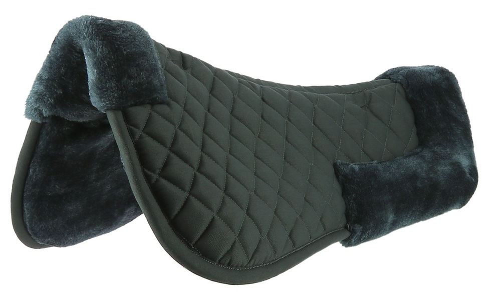 Miniatyrbild: Riding World, sadelpadd