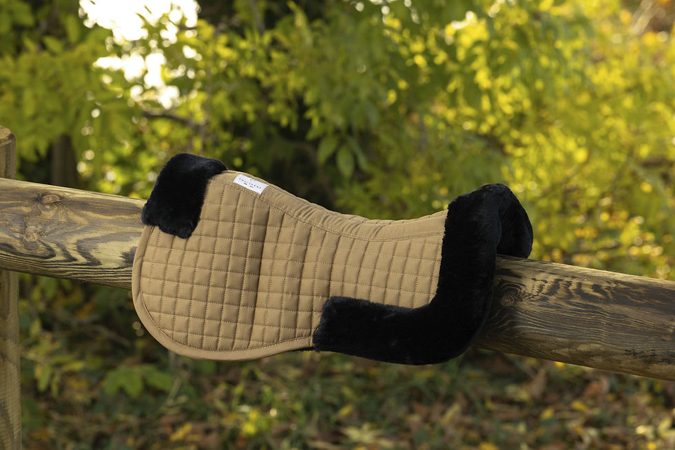 Miniatyrbild: Equitheme, "Teddy" sadelpadd