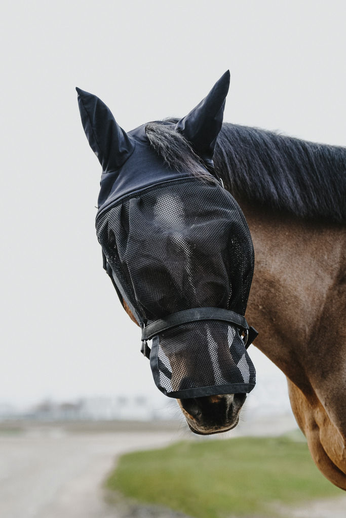 Miniatyrbild: Equitheme, grimma + flughuva