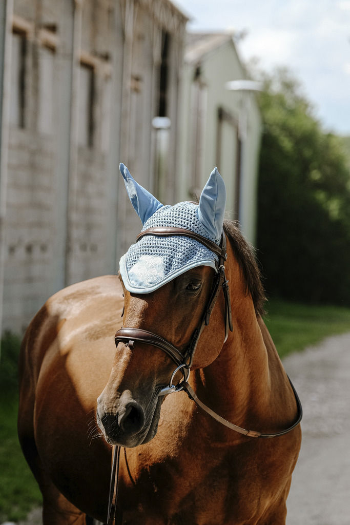 Miniatyrbild: Equitheme, Brocart, huva