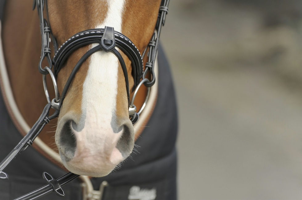 Miniatyrbild: Penelope, point sellier, aachenträns med avtagbar snokrem