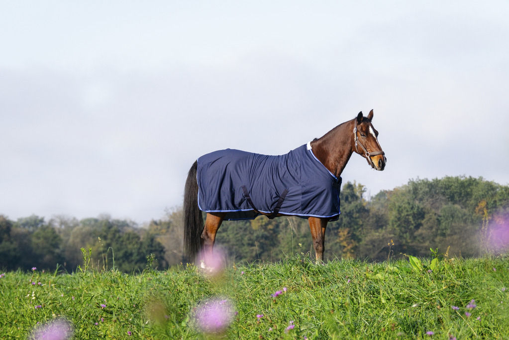 Riding World, meshtäcke