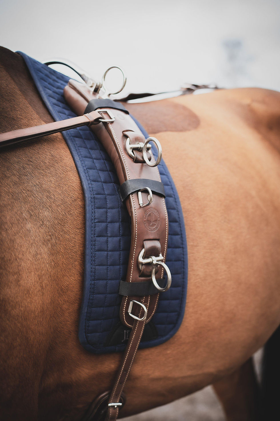 Miniatyrbild: Lippo, däckelunderlägg