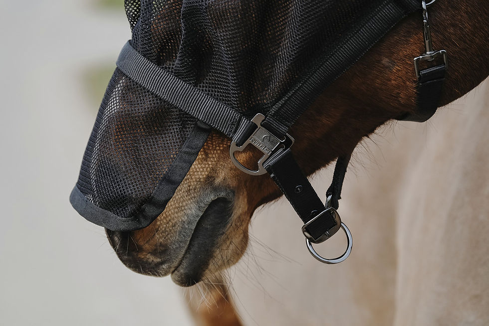 Miniatyrbild: Equitheme, grimma + flughuva