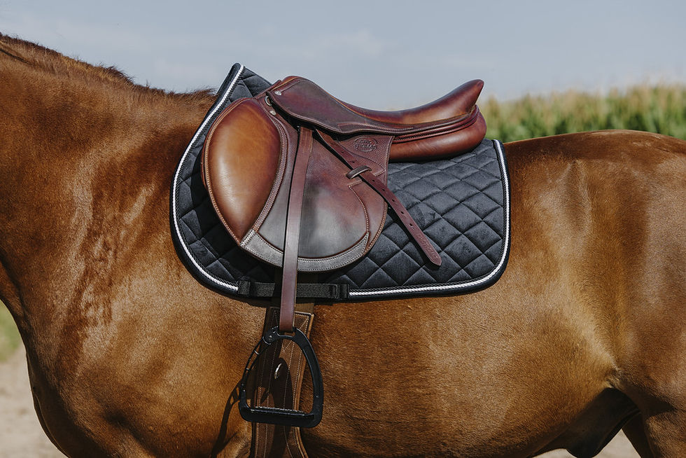 Miniatyrbild: Riding World, Velours, schabrak hopp/allround
