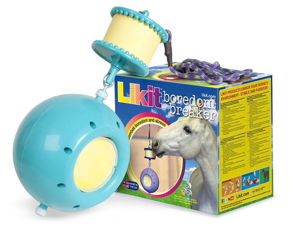 Miniatyrbild: Likit, "Boredom breaker"