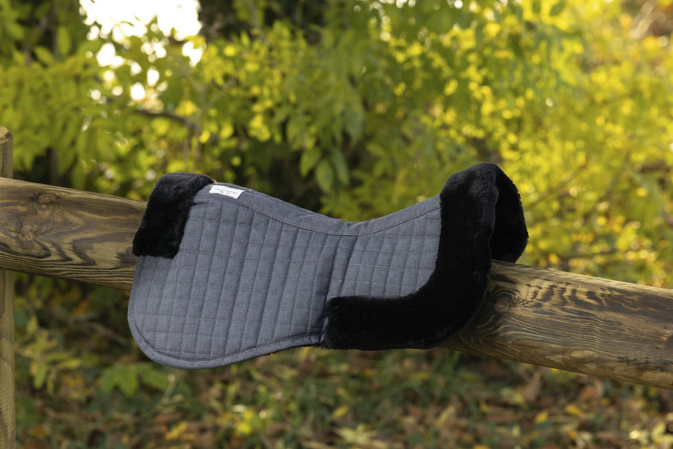 Miniatyrbild: Equitheme, "Teddy" sadelpadd