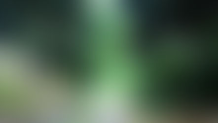 まだお盆休みの途中ですね