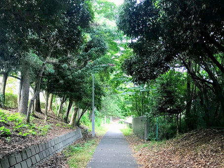 まだお盆休みの途中ですね