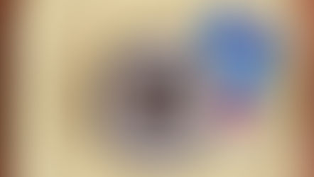 Santa Monica + PLATRAY + Donuts