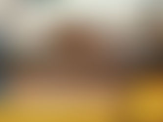 魅力的なAMERICAN COTTONのトレー