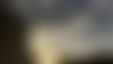 Today's Morning song