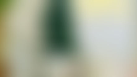 【NEW ITEM】SOUVENIR MUG