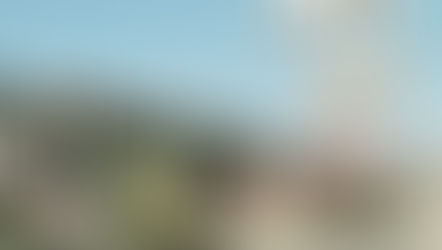 アメリカを変えた夏