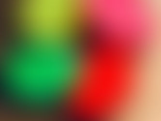 コレクターも存在するコインケースです