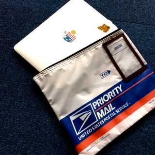 USPS PRIORITY MAIL BAG | TRADITION ACOUSTIC.