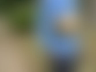 【Restock!】HAND LIGHT Military Fanny Pack